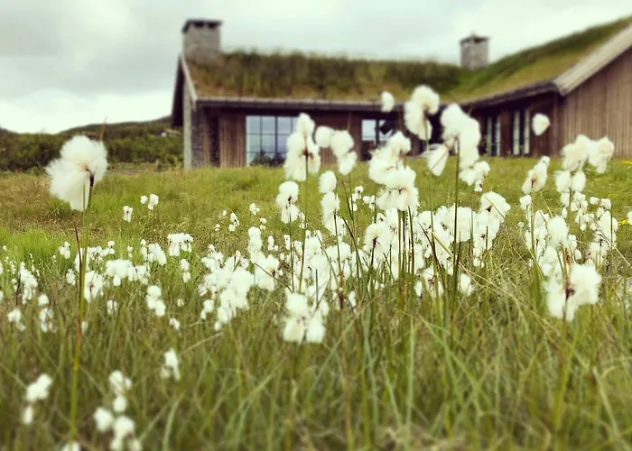 Mountain By The Trails In *